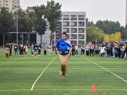 体育博彩热门队：为何长期回报反而更低？（体育博彩押热门：为何长期回报更差？）