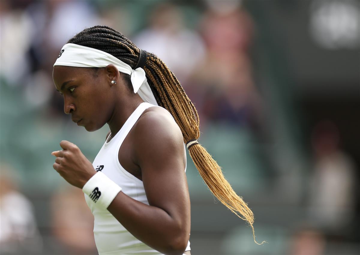 的盛会上展 的盛会上展